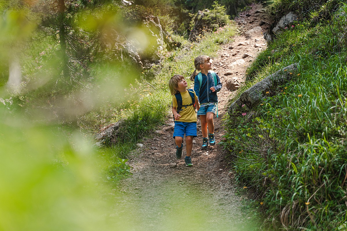 Animal Trail Alpe Lusia