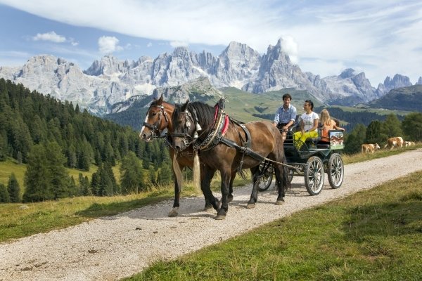 la carrozza a Malga Bocche
