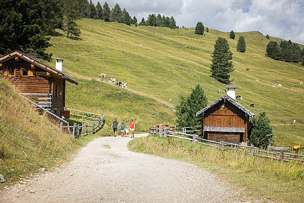 Passeggiata sul Sentiero Naturalistico verso Malga Bocche